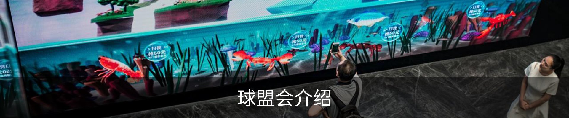 球盟会介绍